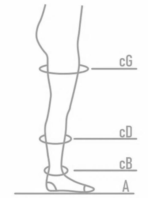 Как подобрать размер Ergoforma EU 257