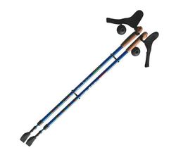 Палки для скандинавской ходьбы Ergoforce E 0673