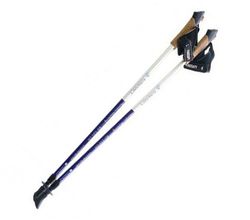 Палки KINERAPY RW902 для скандинавской ходьбы