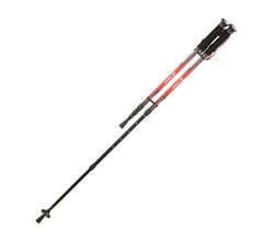 Палки для скандинавской ходьбы Armed STC034