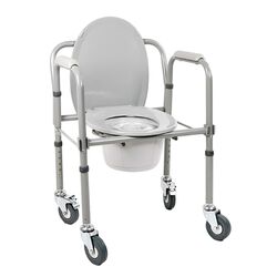 Кресло-туалет СИМС2 10581 Ca