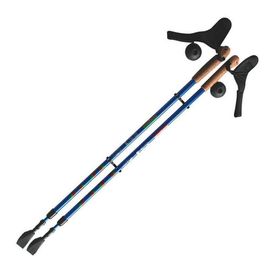 Палки для скандинавской ходьбы Ergoforce E 0673