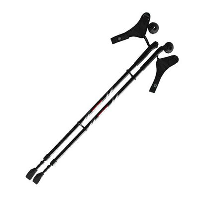 Палки скандинавской ходьбы Ergoforce E 0674