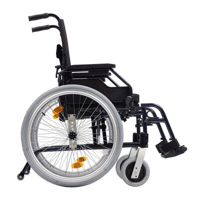Ortonica Base Lite 300