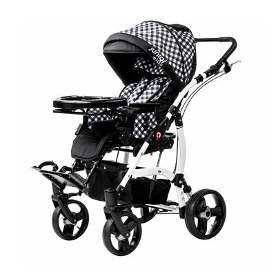 Кресло-коляска для детей с ДЦП Vitea Care JUNIOR PLUS