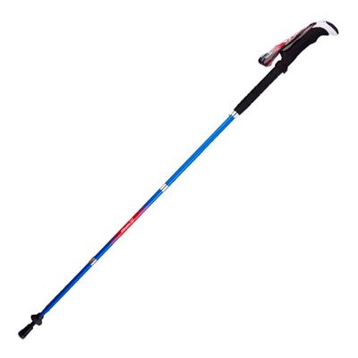 Палки для скандинавской ходьбы Armed STC037