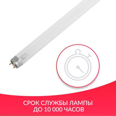 Срок службы лампы до 10000 часов