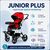 Особенности коляски Vitea Care JUNIOR PLUS